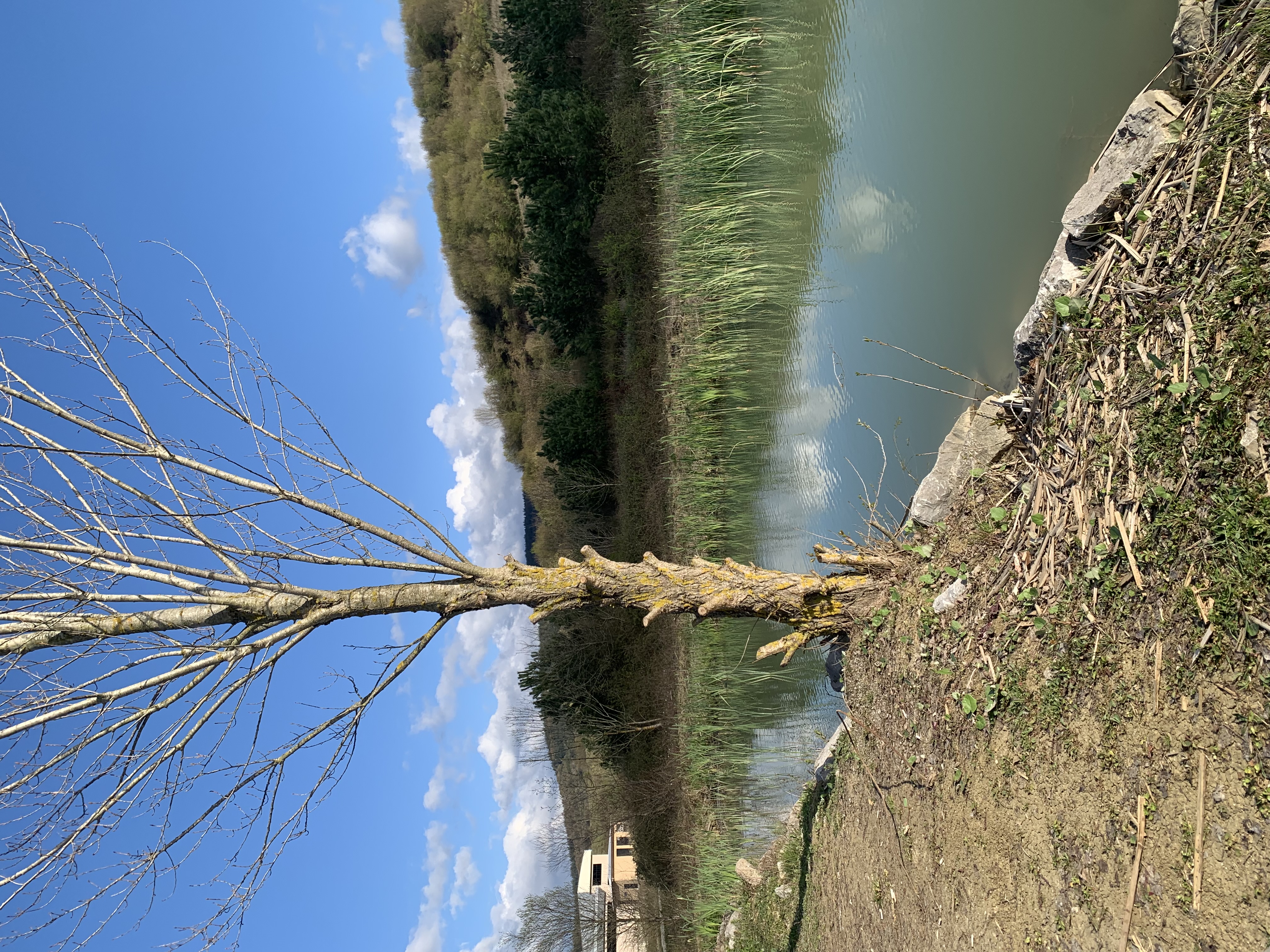 Çok şeyi hakkettim